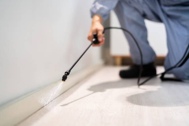Professional Pest Control in Fate, TX