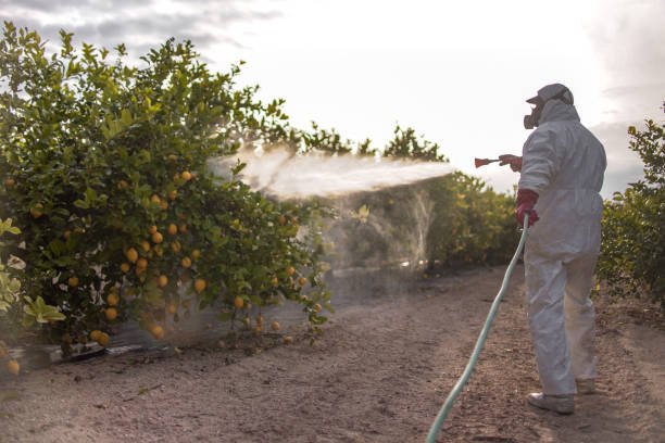 Best Pest Control Near Me in Fate, TX
