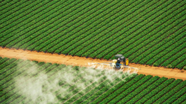 Best Best Pest Control Companies  in Fate, TX
