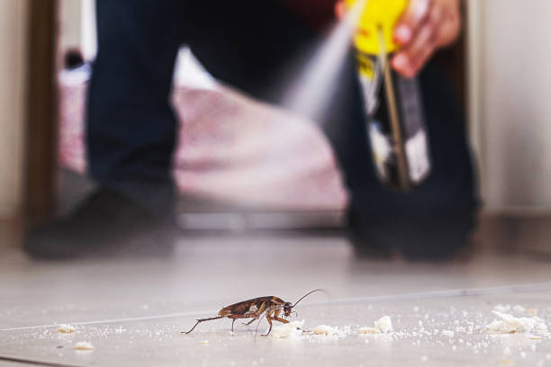 Best Emergency Pest Control  in Fate, TX