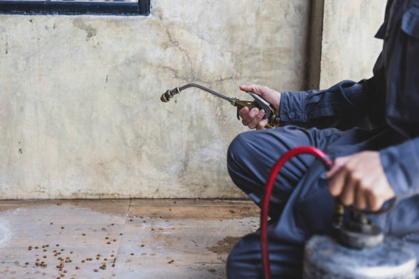 Pest Control Cost in Fate, TX