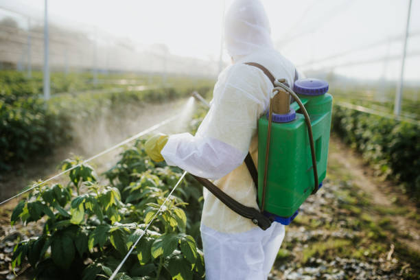 Best Flea Control Services  in Fate, TX